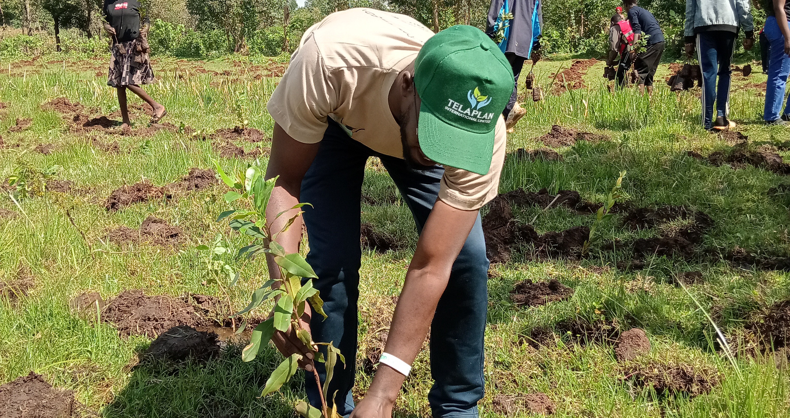 Implications Of Environmental Sustainability