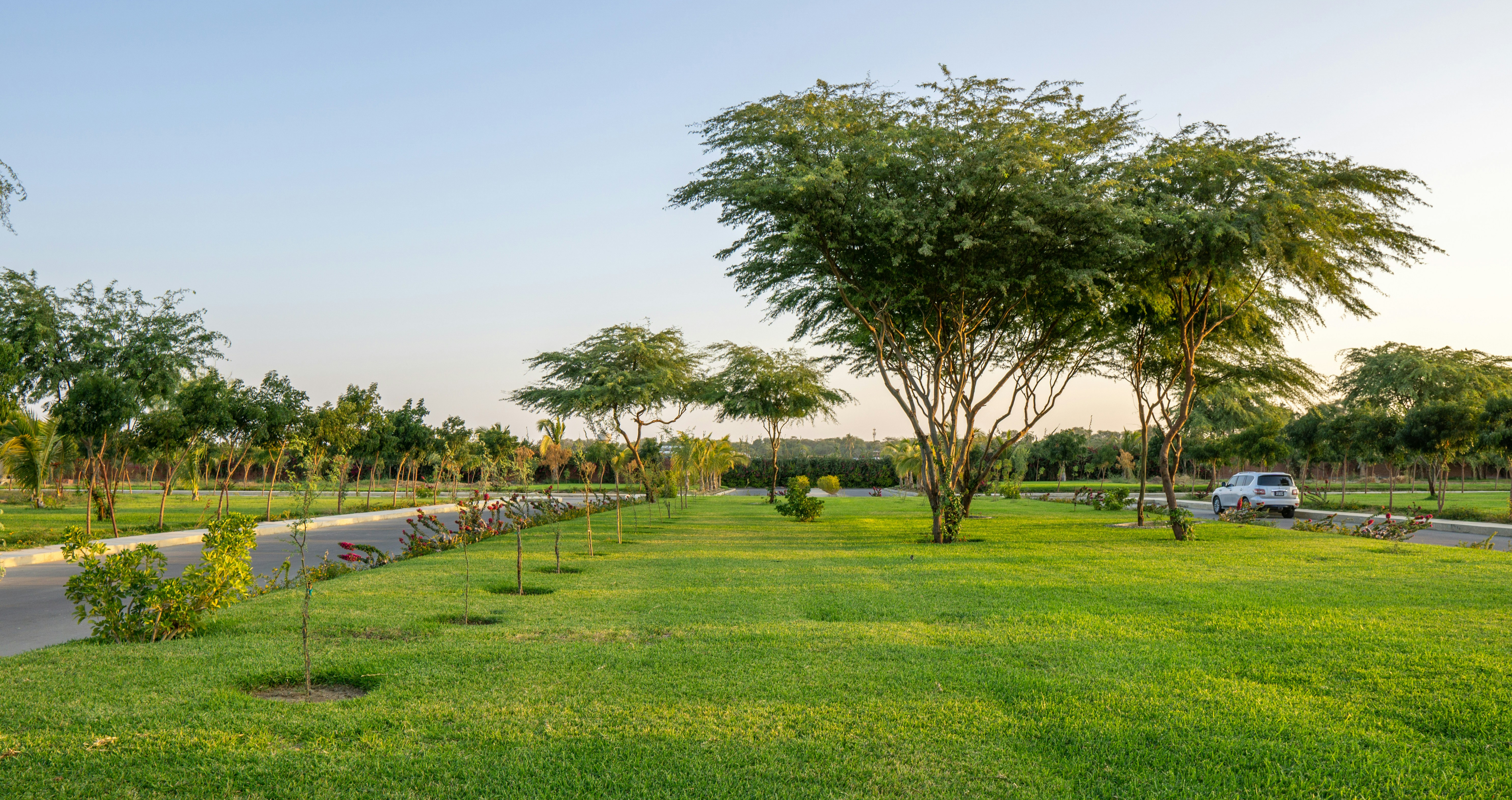 Environmental Audits